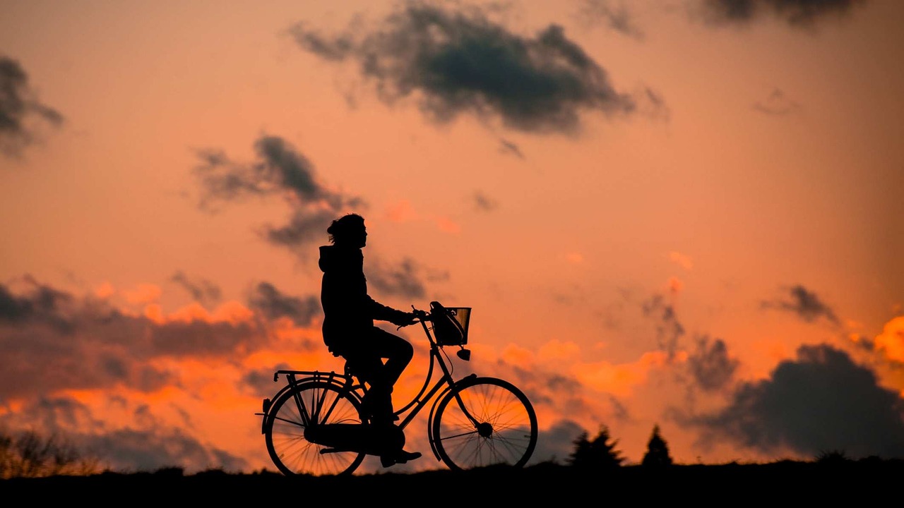 Elektrische hybride fiets Elektrische hybride fiets